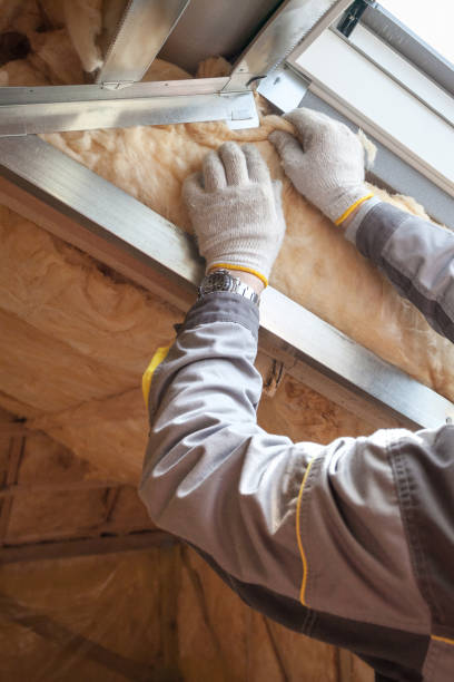 Best Geographic-Specific Insulation Services in Little Flock, AR